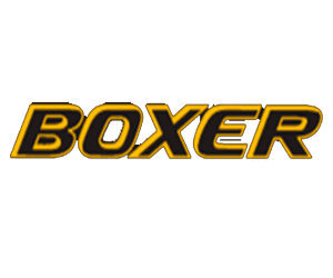 boxer