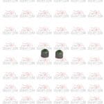 جلد صباب بوكسر