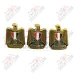 علامه بارز 3*1 نسر